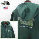 THE NORTH FACE ザ ノースフェイス BOX NSE PULLOVER HOODIE 3Dロゴ プルオーバー パーカー メンズ DARK SAGE グリーン系色 裏起毛