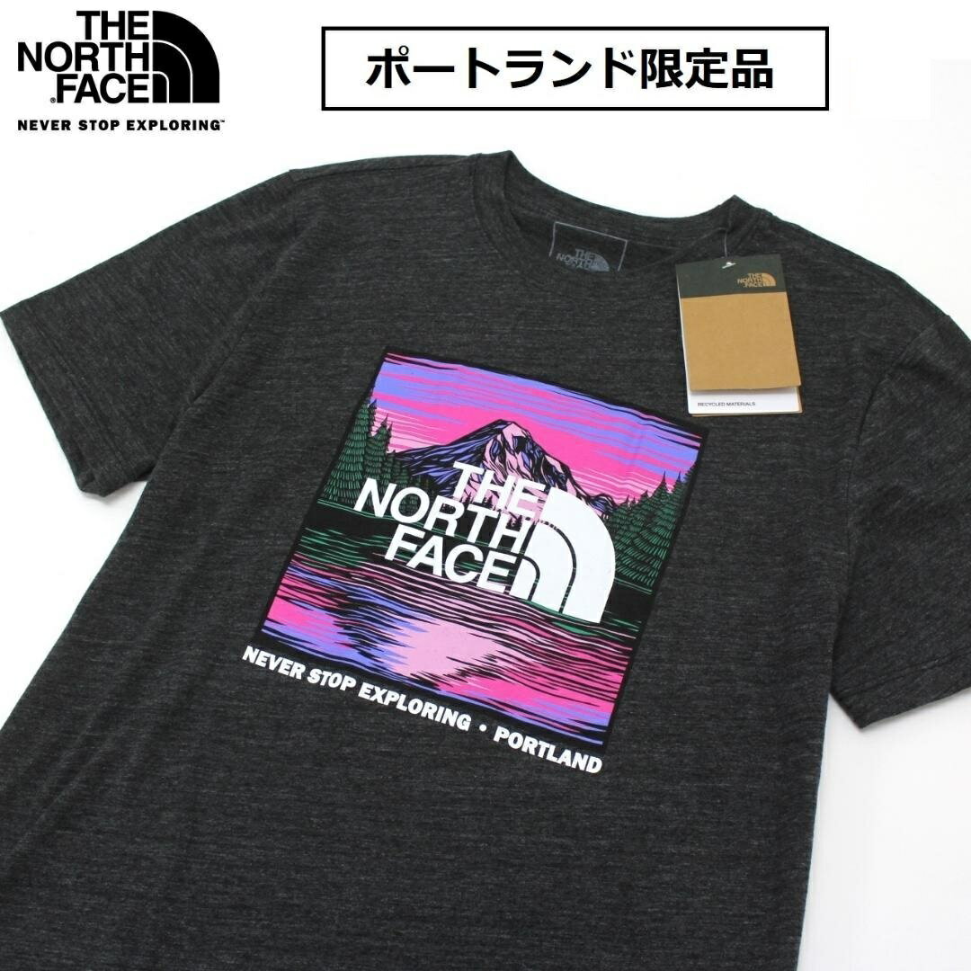 THE NORTH FACE ザ ノースフェイス CITY LANDMARK TEE  Tシャツ メンズ TNF BLACK HEATHER