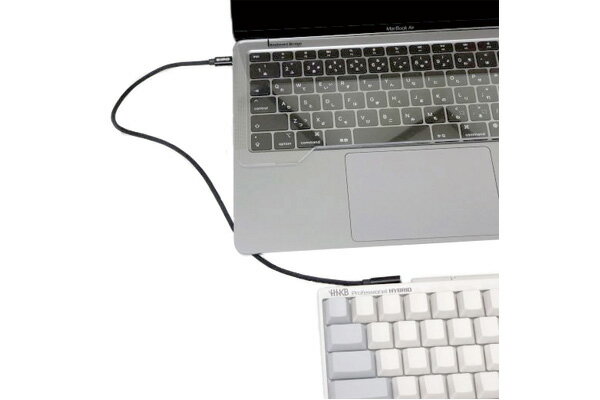 USBケーブル USB Type-C PZ-U...の紹介画像3