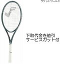ハイテン100ライト新品:国内正規品サービスストリング付詳細は、下記の商品説明欄にてご確認下さい。
