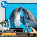 ミラーリングケーブル HDMI 3m 300cm USB Type-C コネクタ ブラック 黒 画面 大画面 鑑賞 TV テレビ モニター 転送 HDCP対応 USB-C USB..