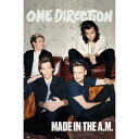 ONE DIRECTION ワンダイレクション 2024年5月ナイル来日 - 絶版ポスター Made In The A.M / ポスター 【公式 / オフィシャル】