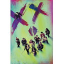 SUICIDE SQUAD スーサイドスクワッド (ジョーカー フォリ・ア・ドゥ 映画公開 ) - (絶版ポスター)STAND