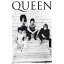 QUEEN  - BRAZIL 81 / ݥ ڸ / ե