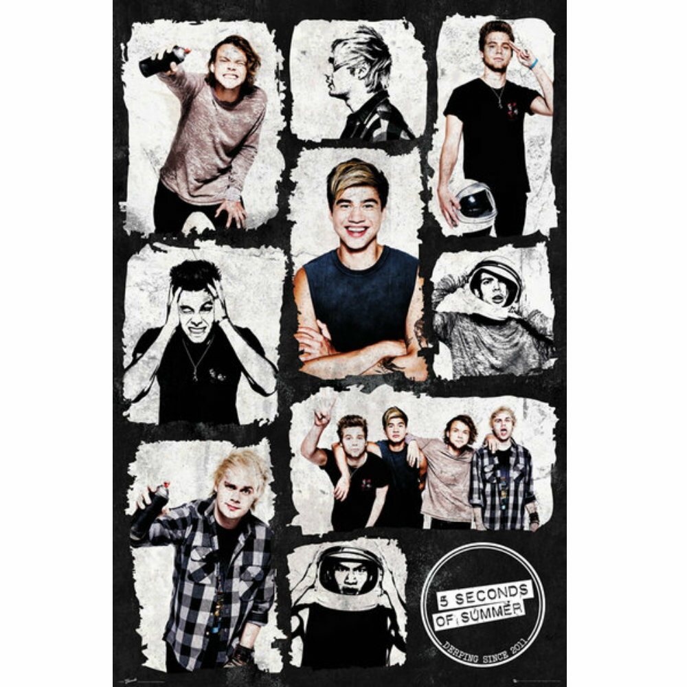 5 SECONDS OF SUMMER t@CZJYIuT}[ - Grid / |X^[ y / ItBVz