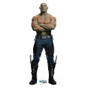 GUARDIANS OF THE GALAXY ガーディアンズ・オブ・ギャラクシー - DRAX / スタンドアップ 