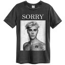 JUSTIN BIEBER WXeBr[o[ (a30N ) - SORRY / Amplifiedi uh j / A / TVc / Y y / ItBVz