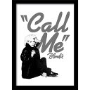 BLONDIE ブロンディー (初来日45周年 ) - Heart of Glass / インテリア額 【公式 / オフィシャル】