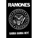 RAMONES 公式ロゴ・ポスター サイズ：約91.5 x 61cm ザ・ラモーンズ / ロックポスター / rock posterミュージック / パンク