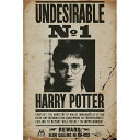 HARRY POTTER n[|b^[ - Undesirable No 1 / |X^[ y / ItBVz