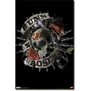 サイズ：約56 x 89cm GNR / GUNS N' ROSES / ガンズ / アクセル / ダフ / axl / ガンズ・アンド・ローゼズ / ロックポスター / rock posterミュージック / ヘヴィメタル