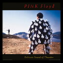 PINK FLOYD ピンクフロイド (シド映画5月公開 ) - Delicate Sound of Thunder(アルバム シリーズ額) / インテリア額 【公式 / オフィシャル】