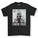 LINKIN PARK リンキンパーク - LIVING THING