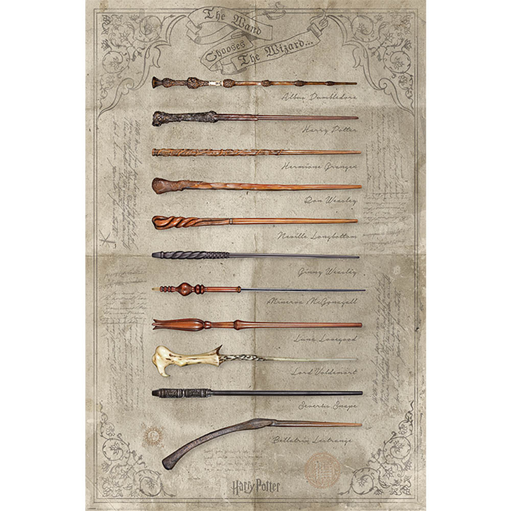 HARRY POTTER ϥ꡼ݥå - The Wand Chooses The Wizard / ݥ