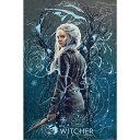 THE WITCHER公式ポスター サイズ：61 x 91.5cm ‘Ciri the Swallow’ のデザインモチーフが特徴です。 ザ・ウィッチャー / ウイッチャー / the witcher / ドラマポスタードラマ / SF・ファンタジー