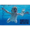 NIRVANA ニルヴァーナ (カートコバーン追悼30周年 ) - Nevermind / ポスター 【公式 / オフィシャル】