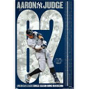 NEW YORK YANKEES MLB ニューヨークヤンキース - AARON JUDGE 2022 AL SINGLE-SEASON HOME RUN RECORD / ポスター 【公式 / オフィシャル】