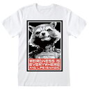 GUARDIANS OF THE GALAXY ガーディアンズ オブ ギャラクシー - Red Rocket / Tシャツ / メンズ 【公式 / オフィシャル】