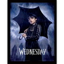 WEDNESDAY 公式インテリア額 サイズ：30 x 40cm ウェンズデー / アダムス / ウエンズデイ / アダムス・ファミリー / Addams Familyドラマ / コメディ