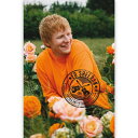 ED SHEERAN 公式ポスター サイズ：61 x 91.5cm エド・シーラン / アコースティック / フォーク / ロックポスター / rock posterミュージック / ZMUSIC