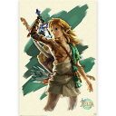 THE LEGEND OF ZELDA [_̓` - Link Unleashed / |X^[ y / ItBVz