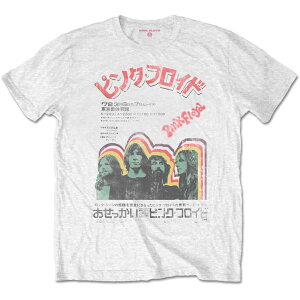 PINK FLOYD ԥ󥯥ե (ɱǲ5 ) - Japanese Poster / T /  ڸ / ե