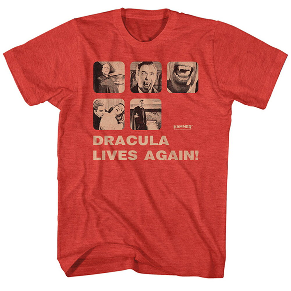 【予約商品】 HAMMER HORROR ハマーホラー - DRACULA RISEN / Tシャツ / メンズ 【公式 / オフィシャル】