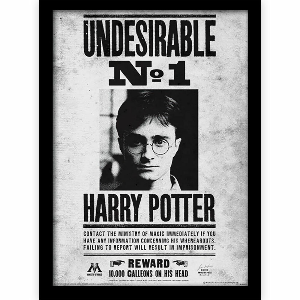 HARRY POTTER ハリーポッター (公開 25周年 ) - Undesirable No1 / インテリア額 【公式 / オフィシャル】