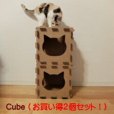 【Cube2個セット】【ねこだん/猫用品