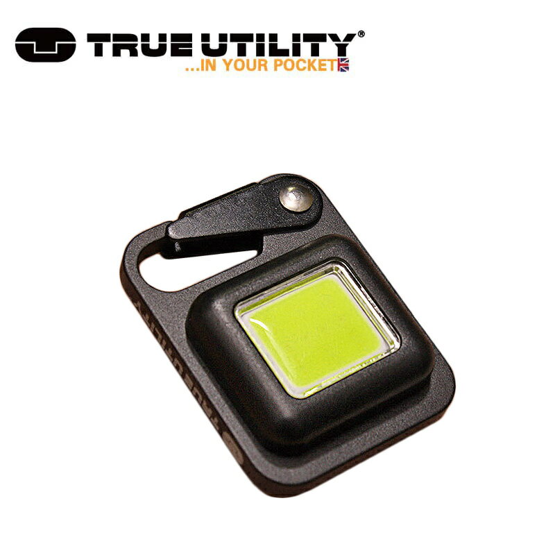 TRUE UTILITY ボタンライト【トゥルー ユーティリティー Buttonlight】アウトドア LED リチャージャブル 充電式 47ルーメン