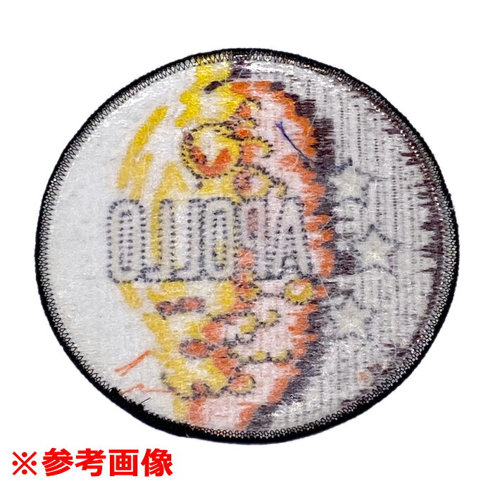 NASA PATCH Columbia ENG...の紹介画像3