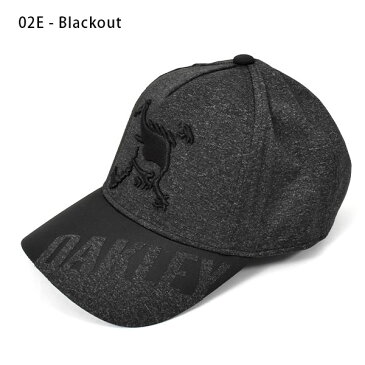 ゴルフ キャップ OAKLEY オークリー メンズ SKULL HYBRID CAP 14.0 髑髏 スカル ロゴ 帽子 GOLF ゴルフ ウェア コンペ 景品 FOS900217 2020春夏新作 得割20