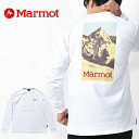 40%off  TVc Marmot }[bg Backcountry L/S Tee OX[u TVc Y AEghA Lv yyΉz