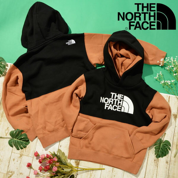 送料無料 ノースフェイス キッズ スウェット パーカー 裏起毛 THE NORTH FACE Sweat Logo Hoodie スウェット ロゴ フーディー 2022秋冬新作 NTJ62264