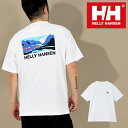 ヘリーハンセン Tシャツ メンズ 送料無料 UV 半袖Tシャツ ヘリーハンセン メンズ レディース バックプリント HELLY HANSEN ランドスケープ ティー S/S HH Landscape Tee ホワイト 白 HH62411 2024春夏新作