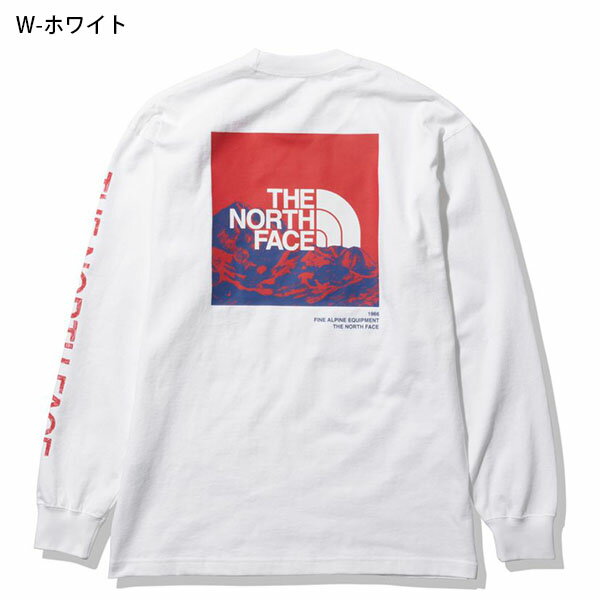 送料無料 ノースフェイス 長袖Tシャツ メンズ レディース 生地厚 ロンT THE NORTH FACE ロングスリーブ グラフィック ティー L/S Sleeve Graphic Tee バックプリント 2022春新作 nt32231