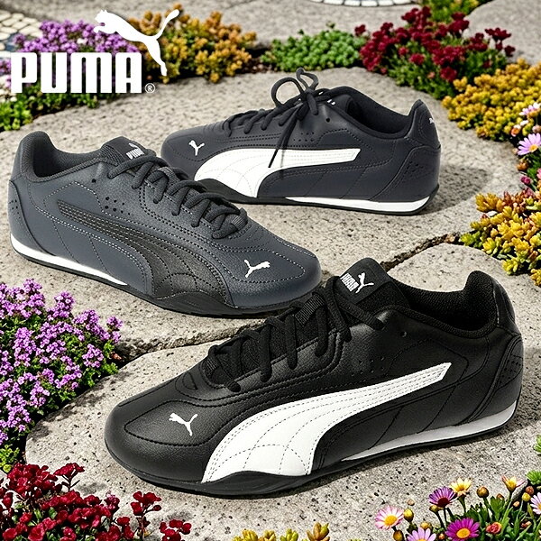 乐天商城 - 2026春夏新色 送料無料 プーマ レディース 薄底 スニーカー PUMA プーマ キャッチ ローカット シューズ 靴 402679