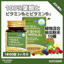 【1箱/3カ月分】グリーン葉酸400&ビタミンB6 B12 90錠 /葉酸 /ビタミンサプリ /サプリ /サプリメント /ビタミン /健康サプリ/ 韓国サプリ/妊娠サプリ/マタニティ/葉酸サプリ