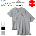 2枚組 まとめ買い メンズ Vネック Tシャツ 半袖 天竺 グンゼ ボディーワイルド 抗菌防臭 綿100% コットン100% オールシーズン カジュアル シンプル GUNZE BODYWILD 紳士 下着 肌着 BW5015A 定番 新作 楽天 通販 父の日 敬老の日 プレゼント ギフト 送料込み