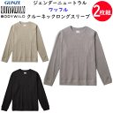 2枚組 まとめ買い グンゼ ワッフル 長袖クルーネック ロングスリーブ ボディーワイルド 発熱性 調湿性 ラリとした着心地 ストレッチ 定番 長袖シャツ カジュ...
