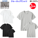 2枚組 まとめ買い グンゼ ボディーワイルド Tシャツ 丸首 メンズ クルーネック 2枚組 2枚セット パックT 丸首 半袖 メンズ 綿 無地 天竺編み ベーシ...