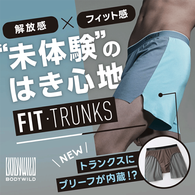 メール便発送 グンゼ ボディワイルド トランク...の紹介画像3