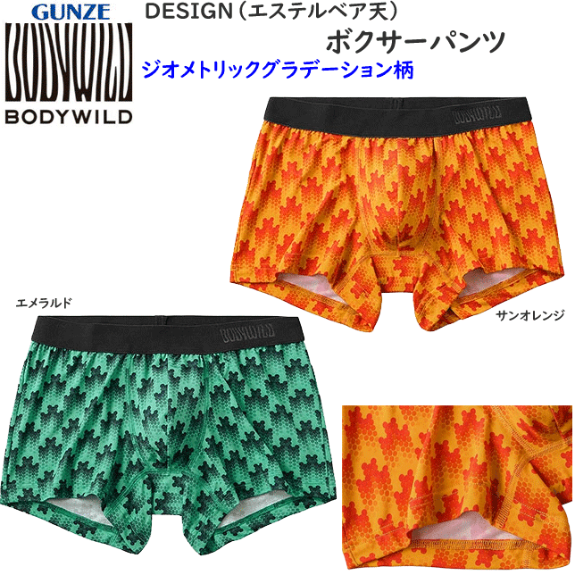 メール便発送 グンゼ ボクサーパンツDESIGN エステルベア天 ジオメトリックグラデーション柄 前とじ 吸汗速乾 ドライ メンズ GUNZE BODY WILD 下着 紳士 肌着 ボクサー シンプル ボクサー 父の日 プレゼント ギフト BWG197A 楽天 通販 メール便送料込み