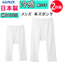 2枚組 まとめ買い グンゼ 日本製 メンズ 涼感平台 冷感 鹿の子 綿100% 半ズボン下 前あき GUNZE ももひき モモヒキ ステテコ すててこ 股引 下...