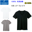 メール便発送 グンゼ メンズ 100%天然冷感 Vネック Tシャツ 消臭力インナー GUNZE COOLMAGIC クールマジック V首 半袖Tシャツ 下着 紳士 肌着 父の日 敬老の日 プレゼント インナーウエア MCA515 MCA515H SS 春夏 新作 楽天 通販 メール便送料込み