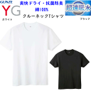 メール便発送 メンズ クルーネック Tシャツ 超速吸水 爽快ドライ グンゼ ワイジー GUNZE YG 丸首 綿100% 半袖 綿100% メンズ下着 紳士 肌着 抗菌防臭加工 コットン100% 定番 父の日 プレゼント オールシーズン YV0613V 年間定番 新作 楽天 通販 メール便送料込み(4)