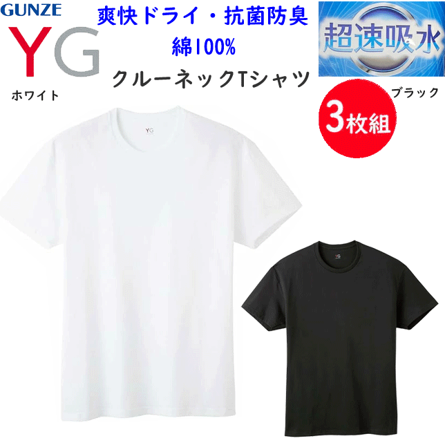 3���� �ޤȤ��㤤 ��� ���롼�ͥå� T����� Ķ®�ۿ� �ֲ��ɥ饤 ���� �磻���� GUNZE YG �ݼ� ��100�� Ⱦµ ��100% ��󥺲��� ��...