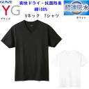 メール便発送 メンズ Vネック Tシャツ 超速吸水 爽快ドライ グンゼ ワイジー GUNZE YG 半袖 綿100% メンズ下着 紳士 肌着 抗菌防臭加工 コットン100% 定番 父の日 プレゼント オールシーズン YV0615V 年間定番 新作 楽天 通販 メール便送料込み