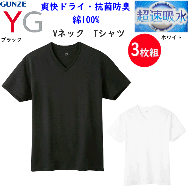 3���� �ޤȤ��㤤 ��� V�ͥå� T����� Ķ®�ۿ� �ֲ��ɥ饤 ���� �磻���� GUNZE YG Ⱦµ ��100% ��󥺲��� �»� ȩ�� �����ɽ��ù�...