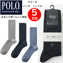 5足組 まとめ買い POLO ポロ メンズ ソックス クルー丈 履く 珪藻土 吸汗速乾 25-27cm POLO BCS ブランド 靴下 下着 紳士 肌着 PL0126 父の日 敬老の日 プレゼント 紳士用 靴下 ビジネスソックス 冠婚葬祭 GUNZE グンゼ 楽天 通販 定番 メール便送料込み